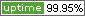 website uptime