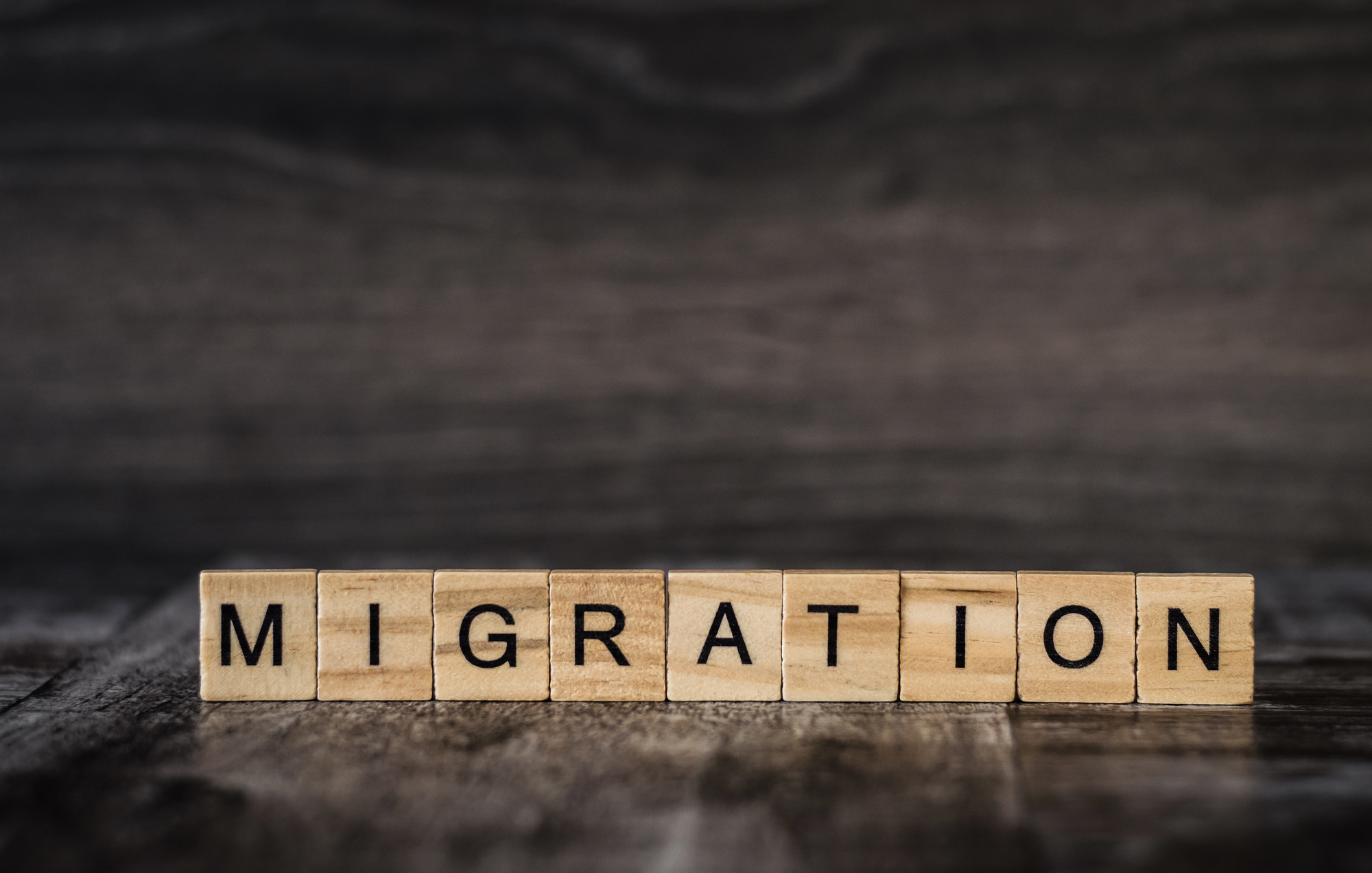 website migration