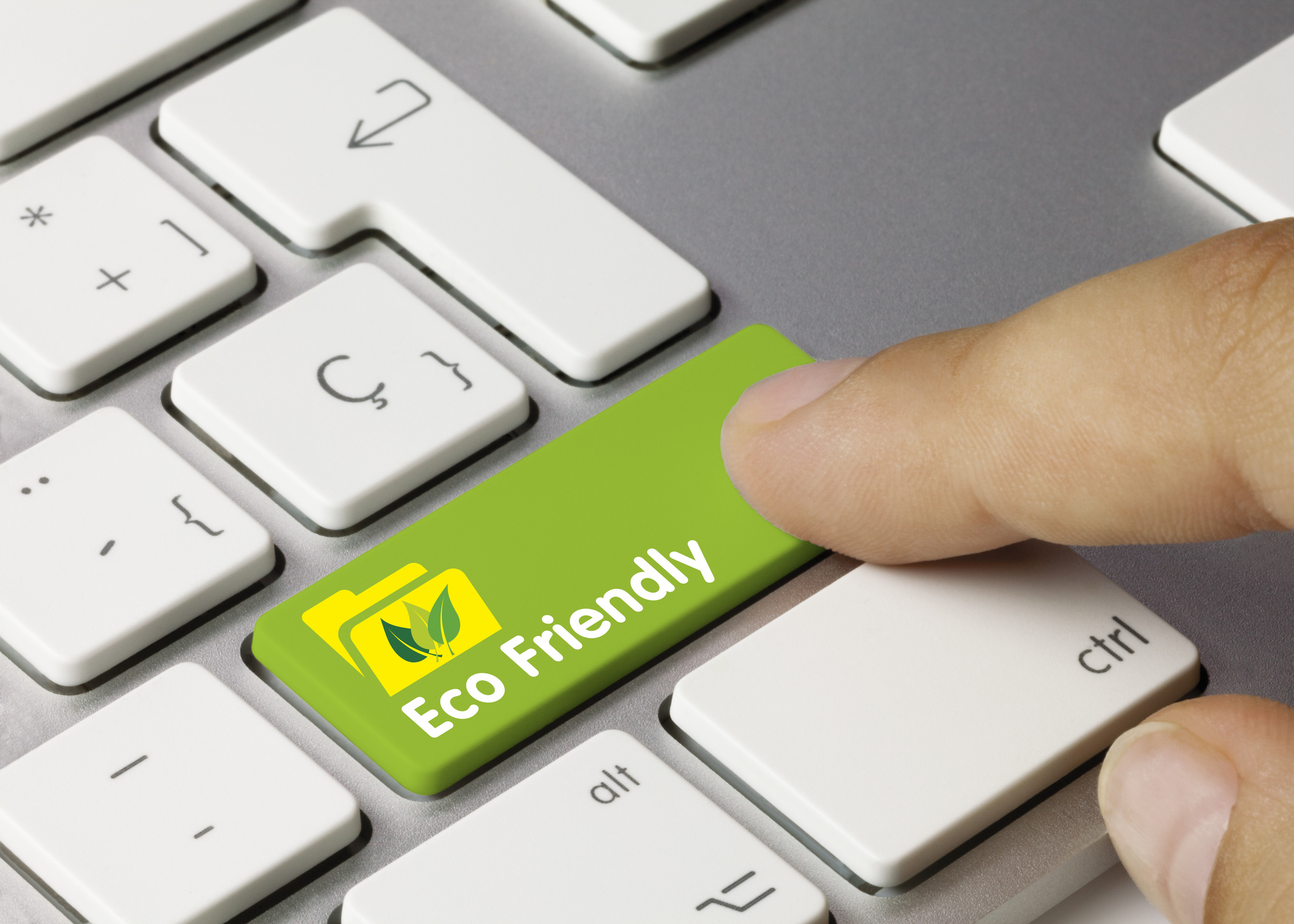 eco friendly website