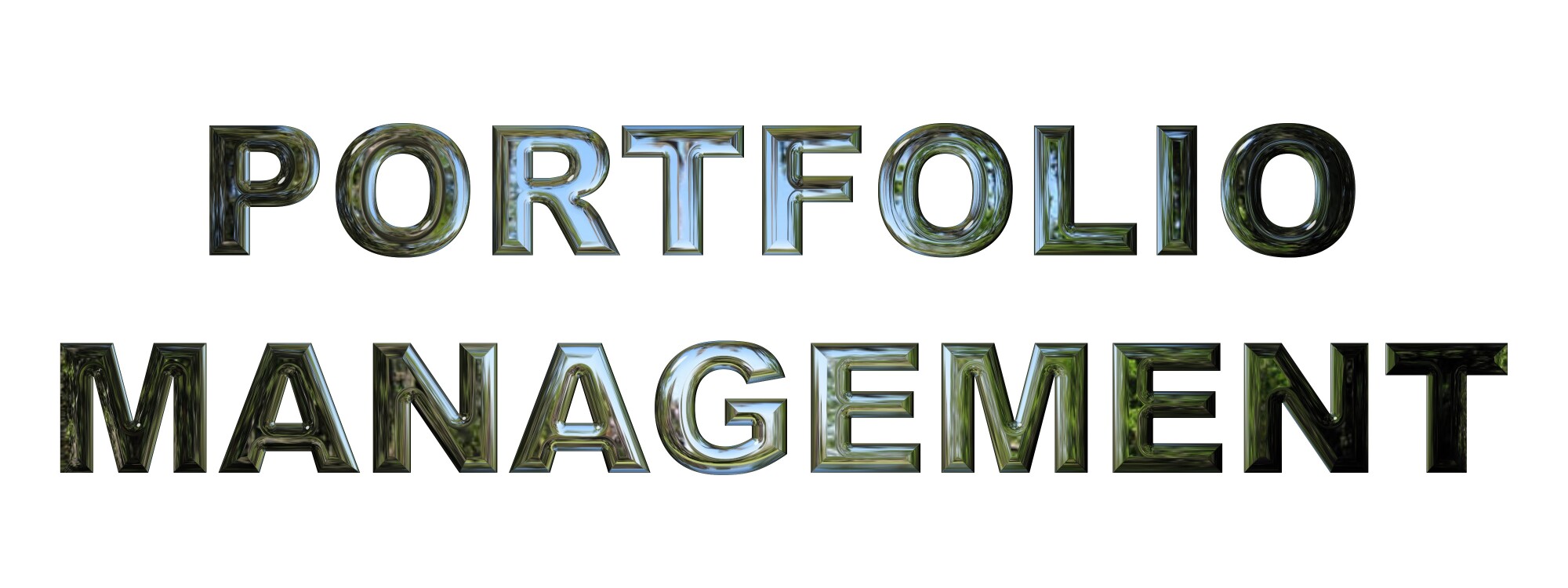 Types of Portfolio Management