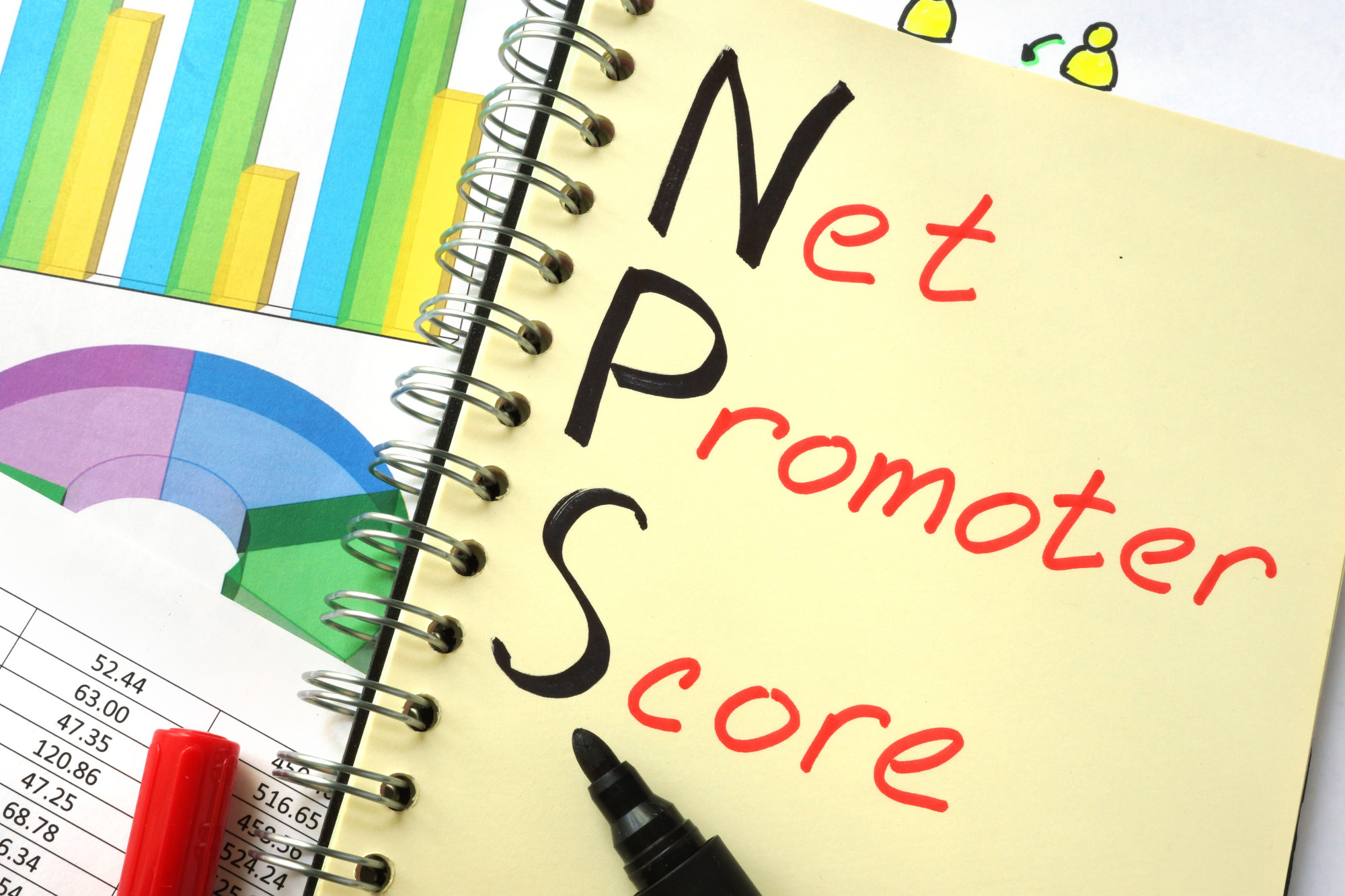 Guide to Net Promoter Scores